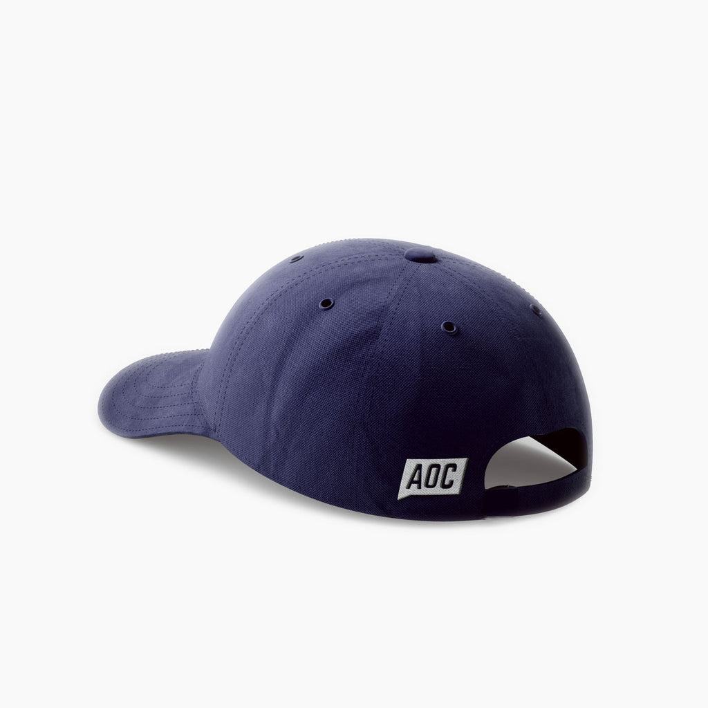 Tax The Rich Dad Hat