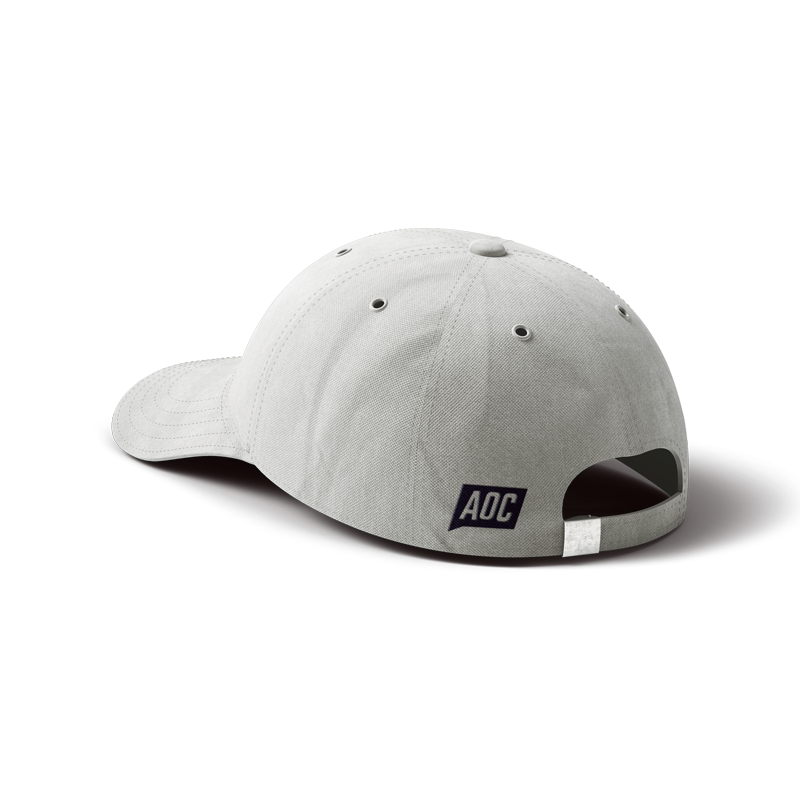 Putty Tax The Rich Dad Hat